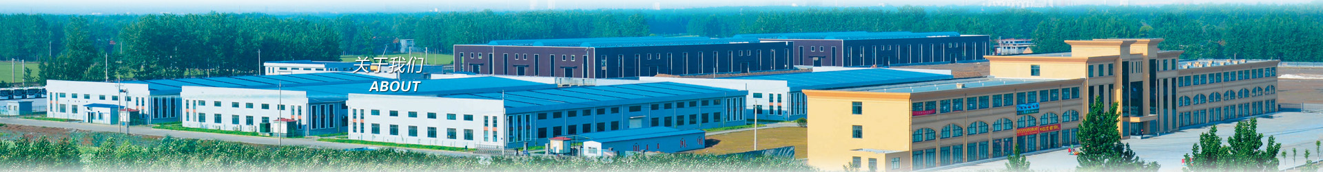 關(guān)于金環(huán)