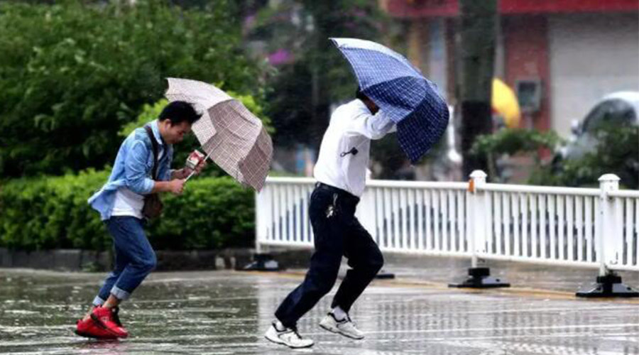 9號臺風(fēng)“馬鞍”生成！金環(huán)電器提醒大家要注意的事項