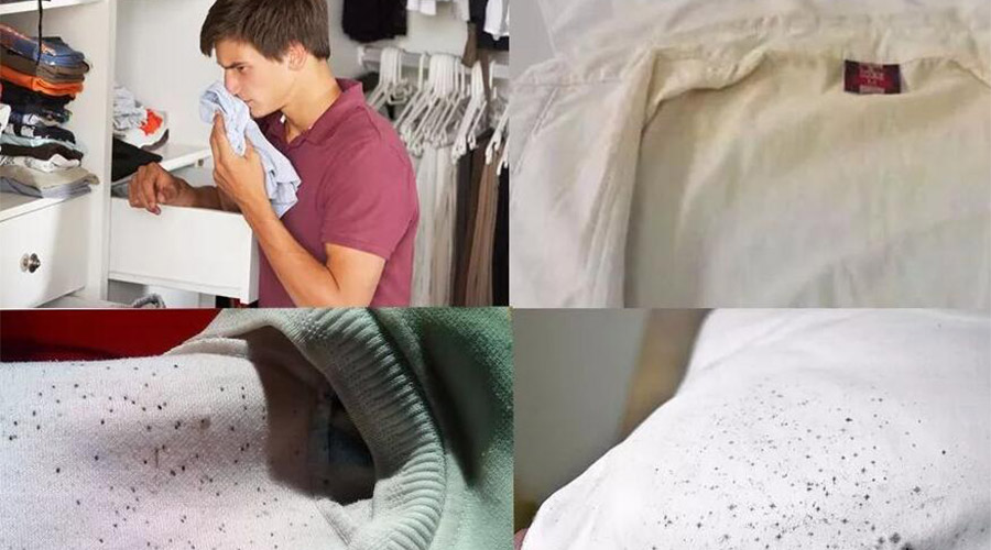 衣服護理小常識：潮濕天衣物有霉味不宜穿  該怎么辦？