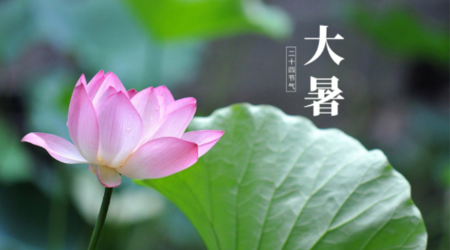 大暑時(shí)節！金環(huán)電器提醒大家注意這些干衣細節