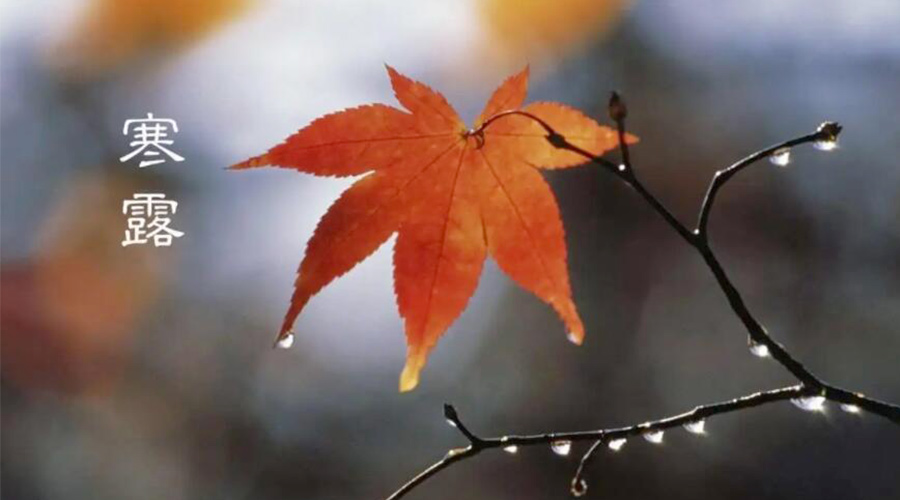 寒露時(shí)節！金環(huán)電器提醒大家要注意的事項