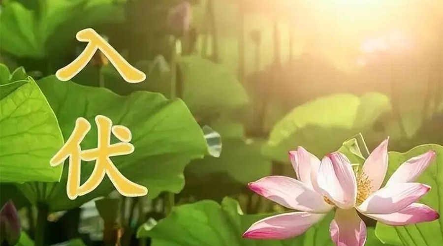 入伏天來(lái)襲！金環(huán)電器提醒大家要注意的事項