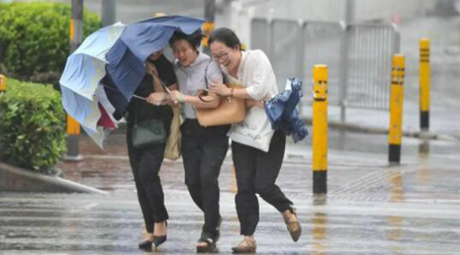 家有衣物烘干機，無(wú)懼臺風(fēng)天吹走和淋濕衣物！