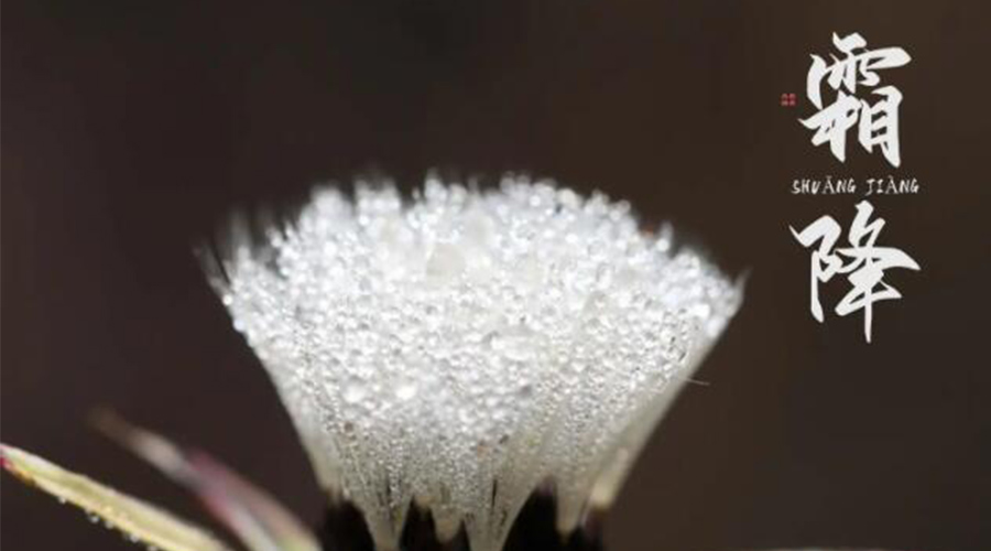 霜降時(shí)節！金環(huán)電器提醒大家要注意的事項