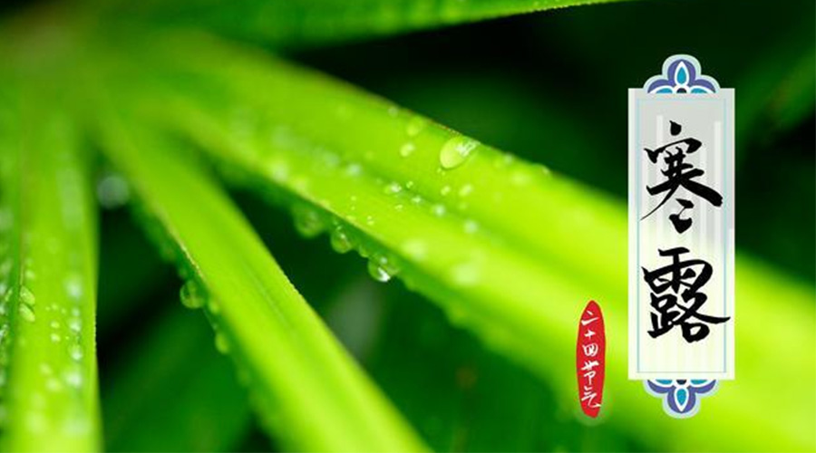 寒露時(shí)節到！金環(huán)電器提醒這些干衣事項要注意