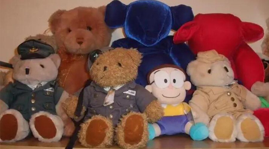 解答！毛公仔可以使用滾筒衣服烘干機除菌嗎