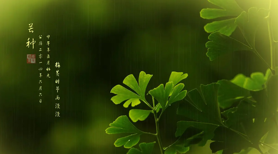 芒種時(shí)節！金環(huán)電器提醒大家的注意事項