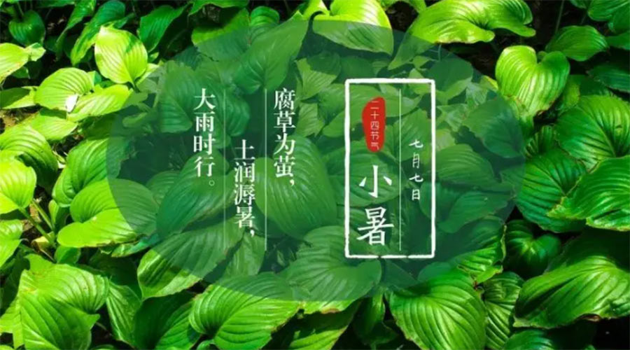 小暑時(shí)節來(lái)到！金環(huán)電器提醒大家要注意的事項