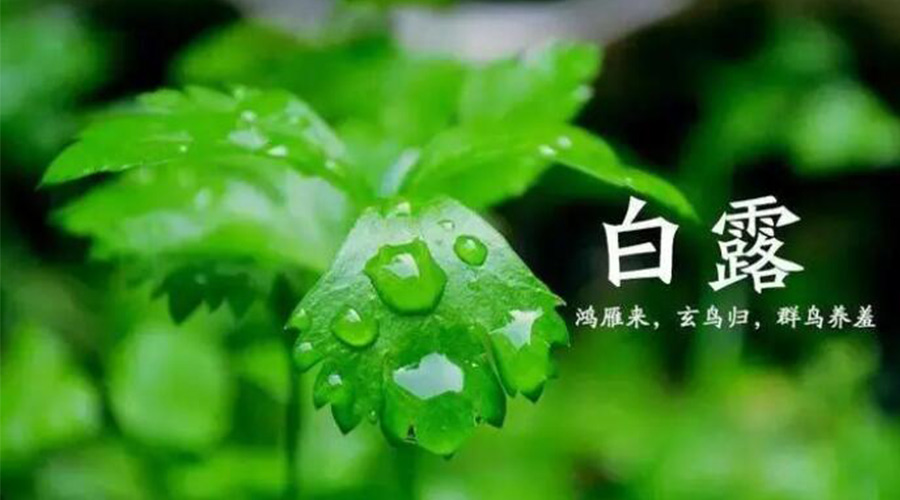 白露時(shí)節！金環(huán)電器提醒大家要注意的事項