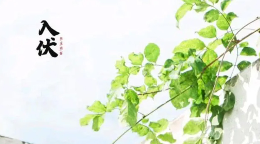 初伏時(shí)節！金環(huán)電器提醒大家要注意的事項