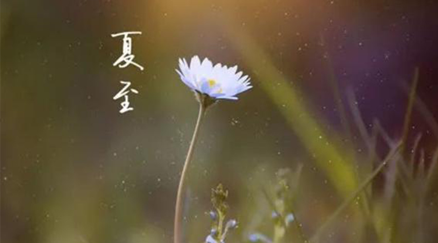 夏至有哪些傳統習俗  金環(huán)電器來(lái)告訴你