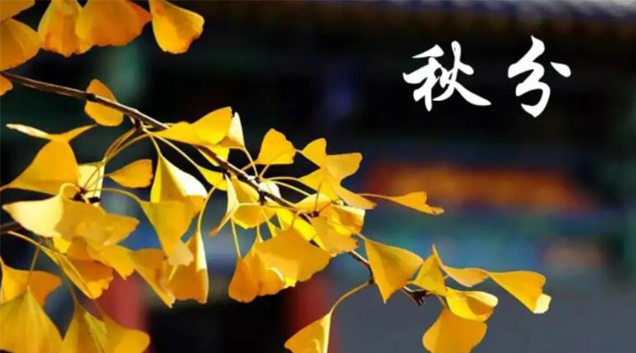 秋分時(shí)節！金環(huán)電器提醒大家要注意的事項