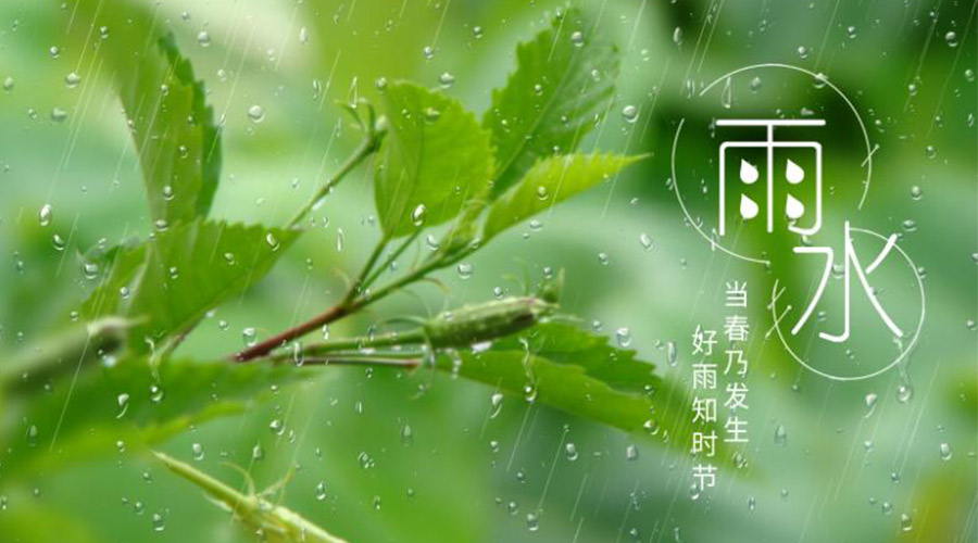 雨水時(shí)節！金環(huán)電器提醒大家要注意的事項