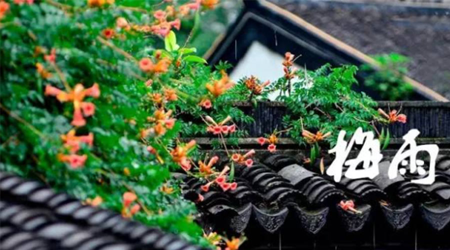 什么是梅雨？梅雨如何形成？  金環(huán)電器告訴你答案